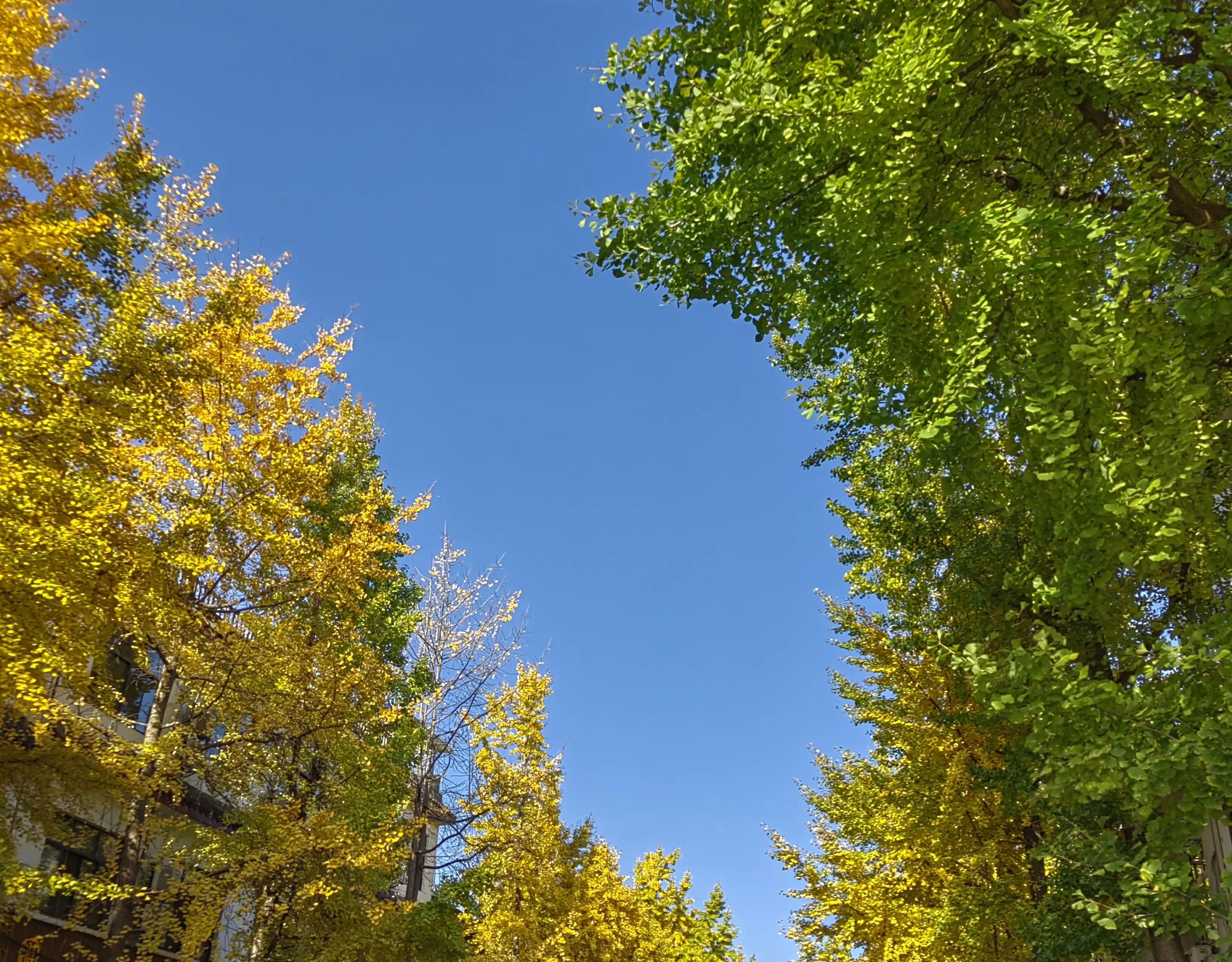 告别十月迎接十一月的随笔,十一月随笔