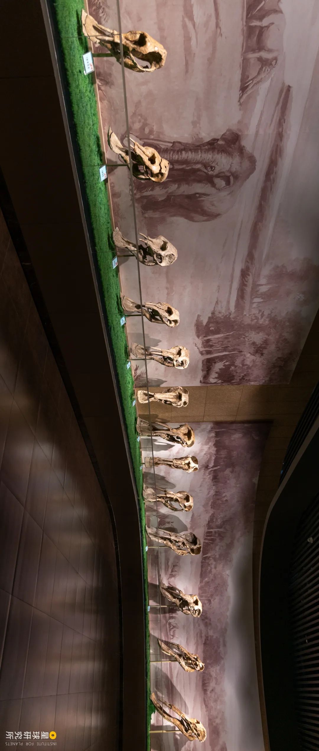 现在甘肃临夏的风景是真美,甘肃临夏有啥著名景点