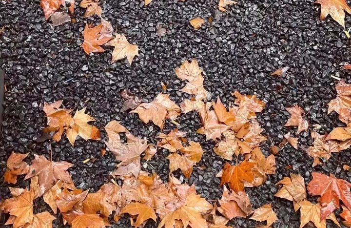 年味浓迎新春南京,迎新春展春联