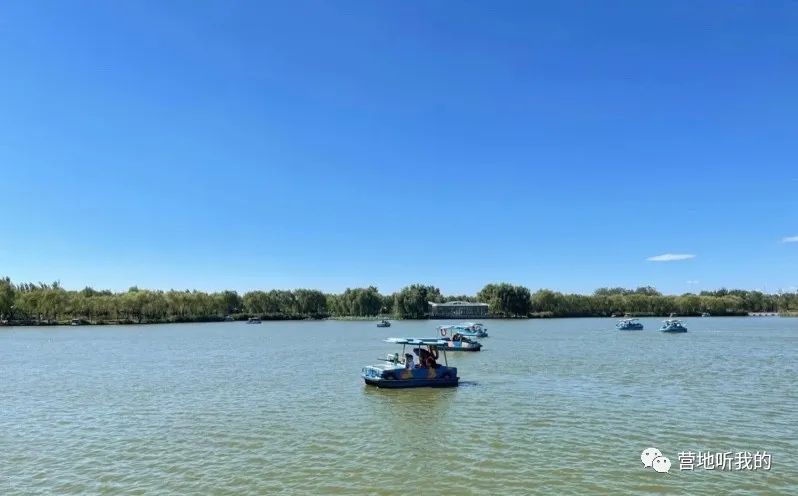 捞小河里的小蝌蚪,上海抓小蝌蚪的公园