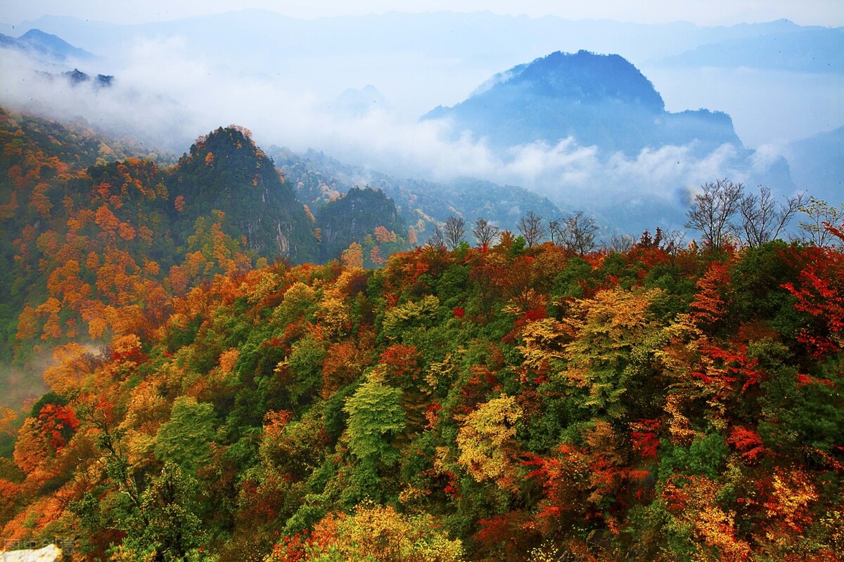 11月份去哪里玩最好玩呢,十一月份秋天适合去哪旅游国内