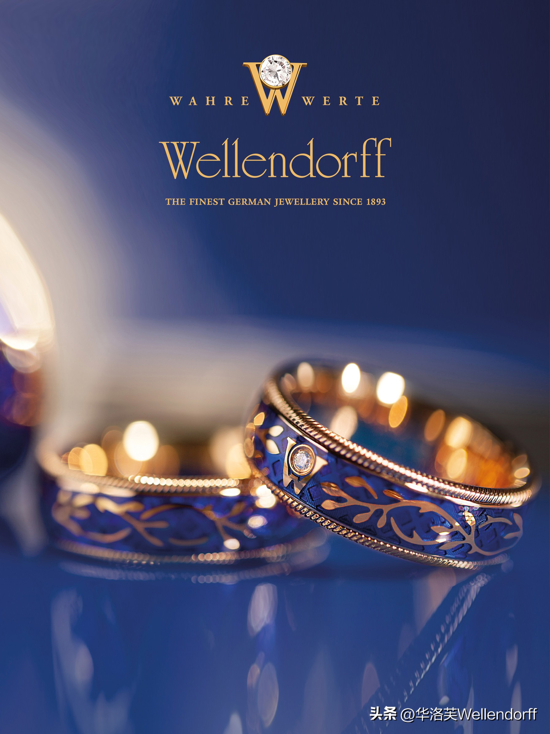 forgetmenot勿忘我,forgetmenot国外女贝斯手