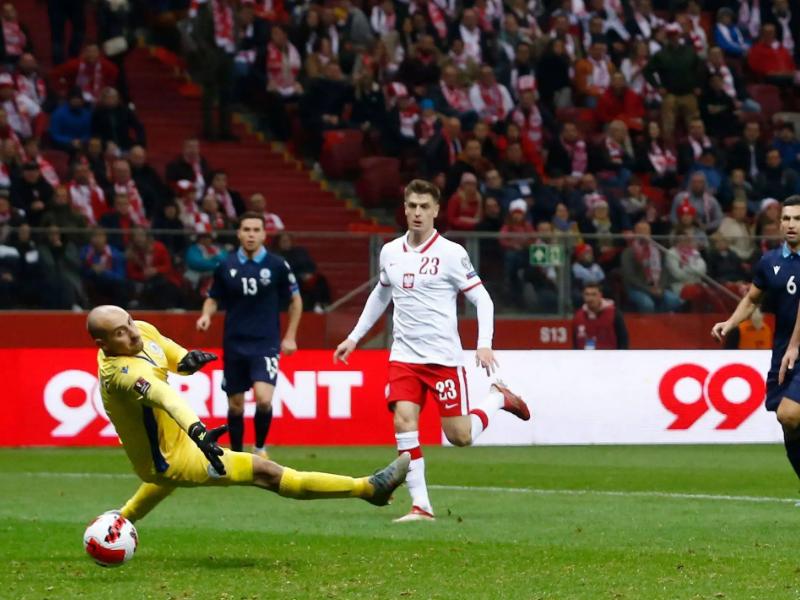 世界杯精彩进球,世界杯波兰和阿根廷比分预测