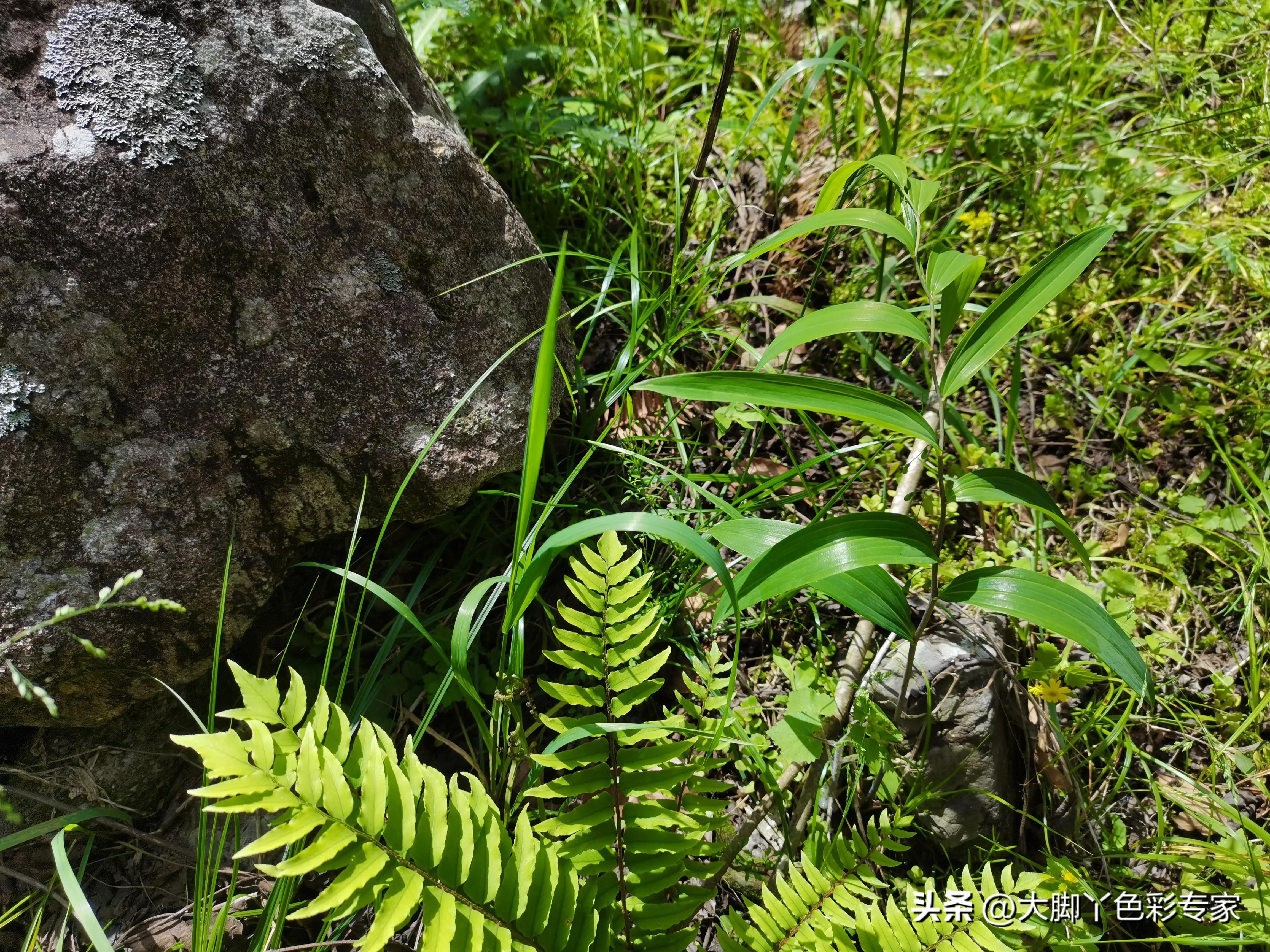 郴州八面山一日游,郴州八面山日出云海