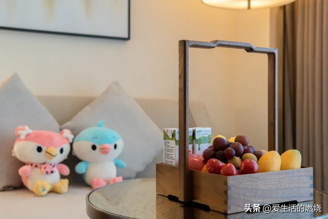 杭州森泊开元度假酒店不含门票,杭州开元森泊度假酒店存在的问题