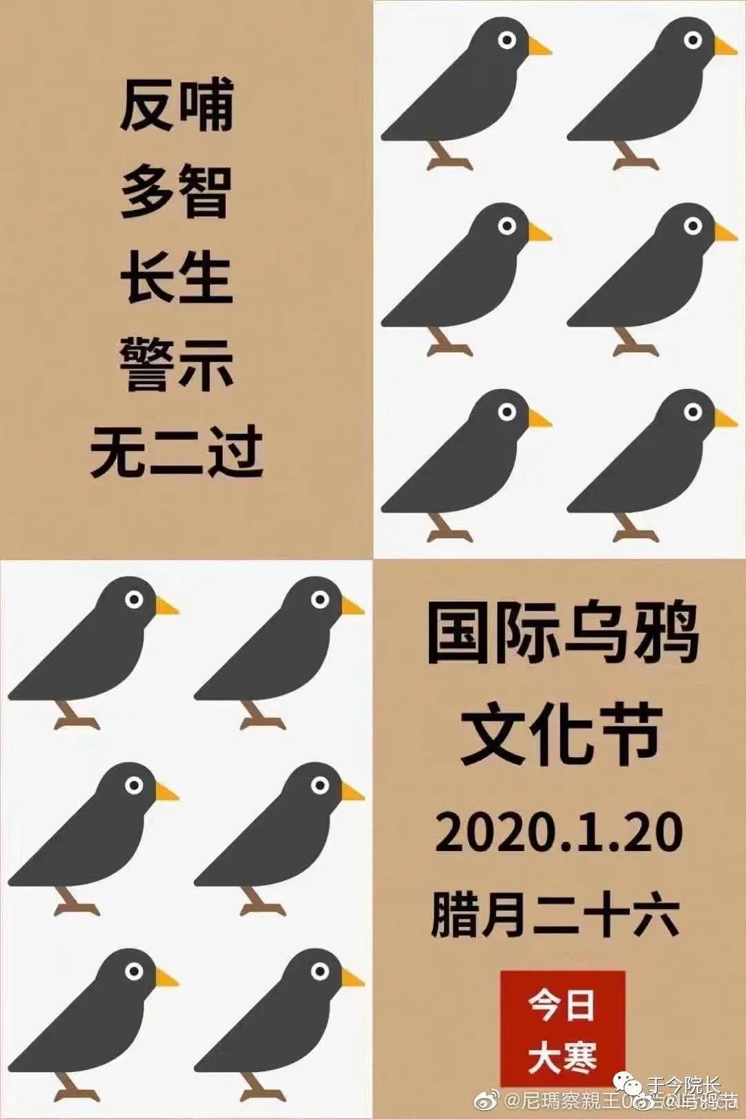 七夕搭鹊桥的是什么鸟,七夕喜鹊搭鹊桥相会视频