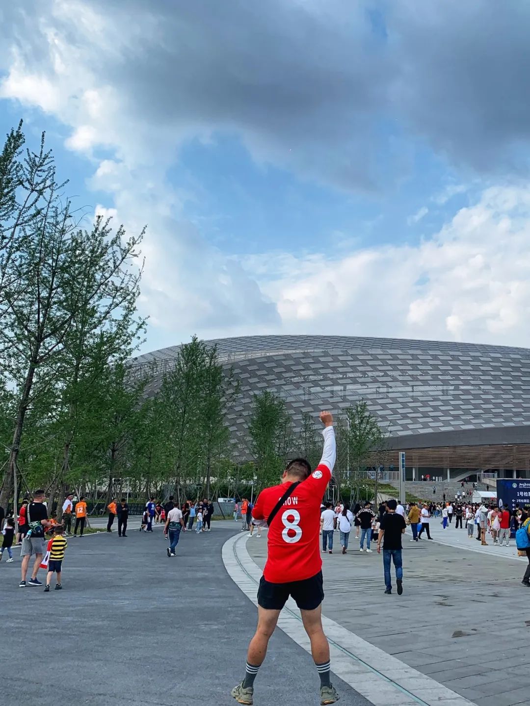 30年过去，死去的成体记忆在凤凰山复活了吗