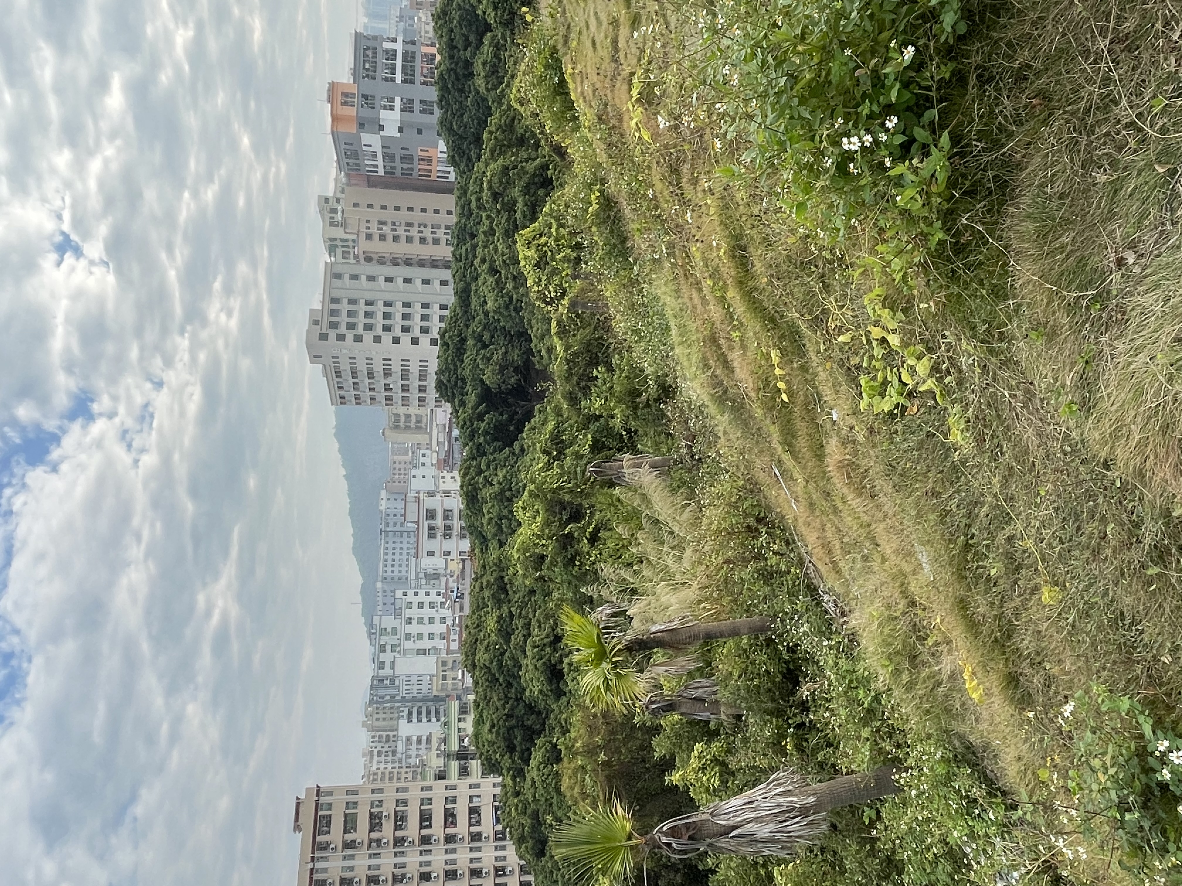 深圳沙湾公园风景区,宝安石岩湿地公园