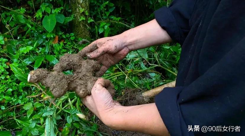 走进山间的小路感受大自然,成都深山老林旅游最好去处