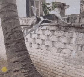 现在生意都难做的高情商回复,最近生意太好了高情商回复