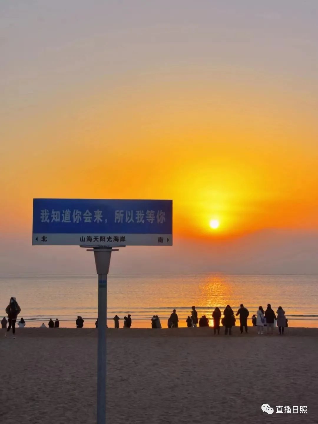 日照网友评价,日照博主评论区