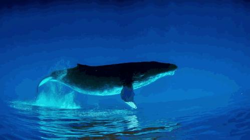 考古发现秦始皇陵完整版,2021年秦始皇陵遗址考古新发现