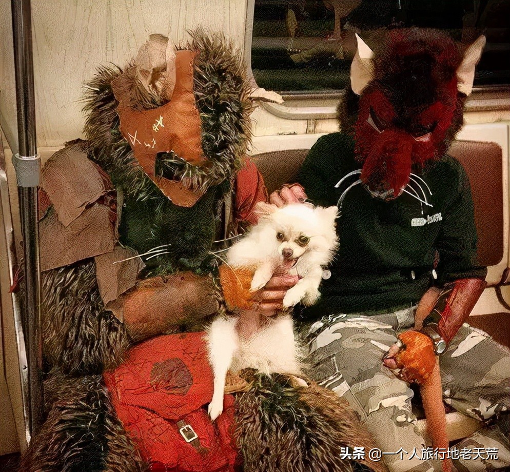 看了俄罗斯的地铁*拍偷**照,笑着笑着就羡慕哭了