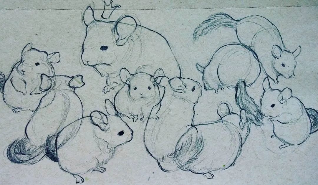 未播先火,未播先火剧