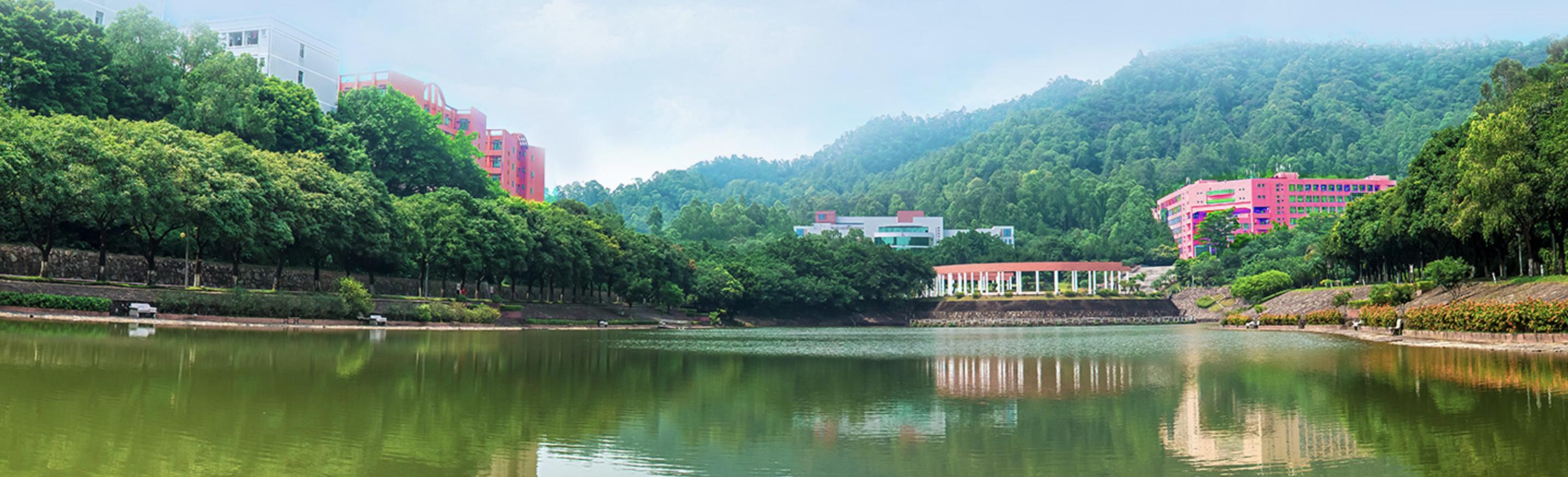 广东专科征集志愿录取学校有哪些,征集志愿广东专科有哪些学校