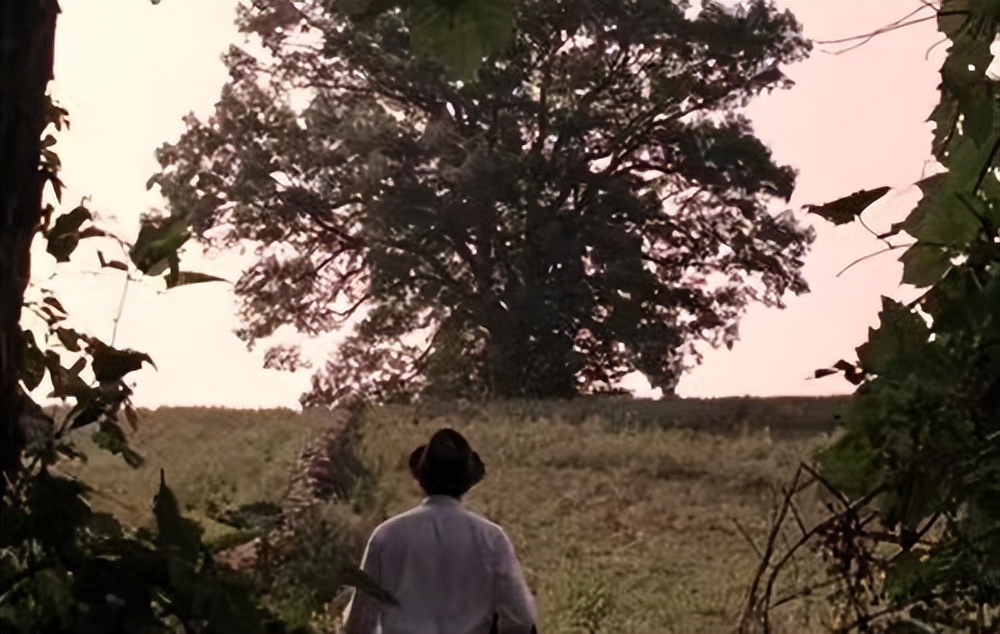 电影作为艺术的观念,如何理解电影作为艺术的特征