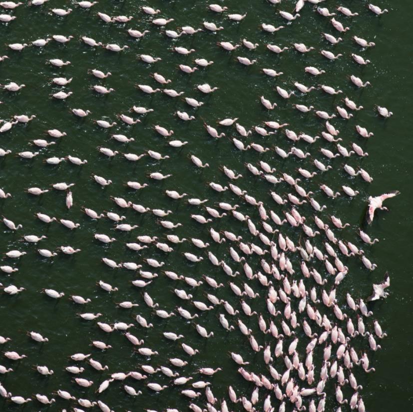 缇庡浗濂充汉閫夌編鍥剧墖,缇庡浗濂充汉鏈嶈姣旇禌