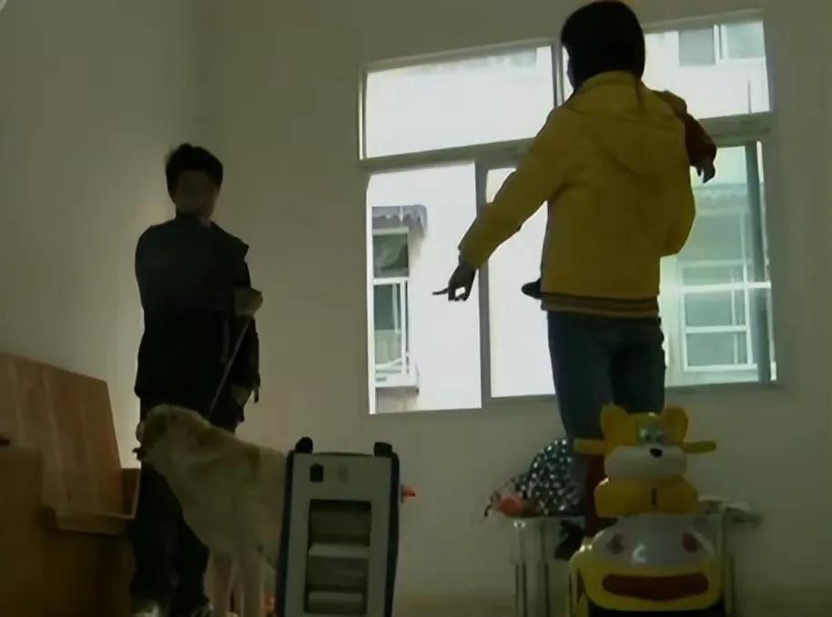 男子捡400只流浪狗,四川男子从路边捡来黑狗完整版