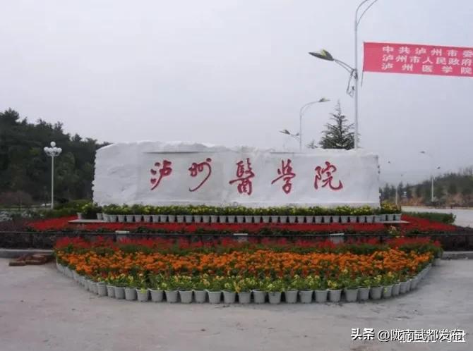 更名成功的大学,近年改名成功的大学