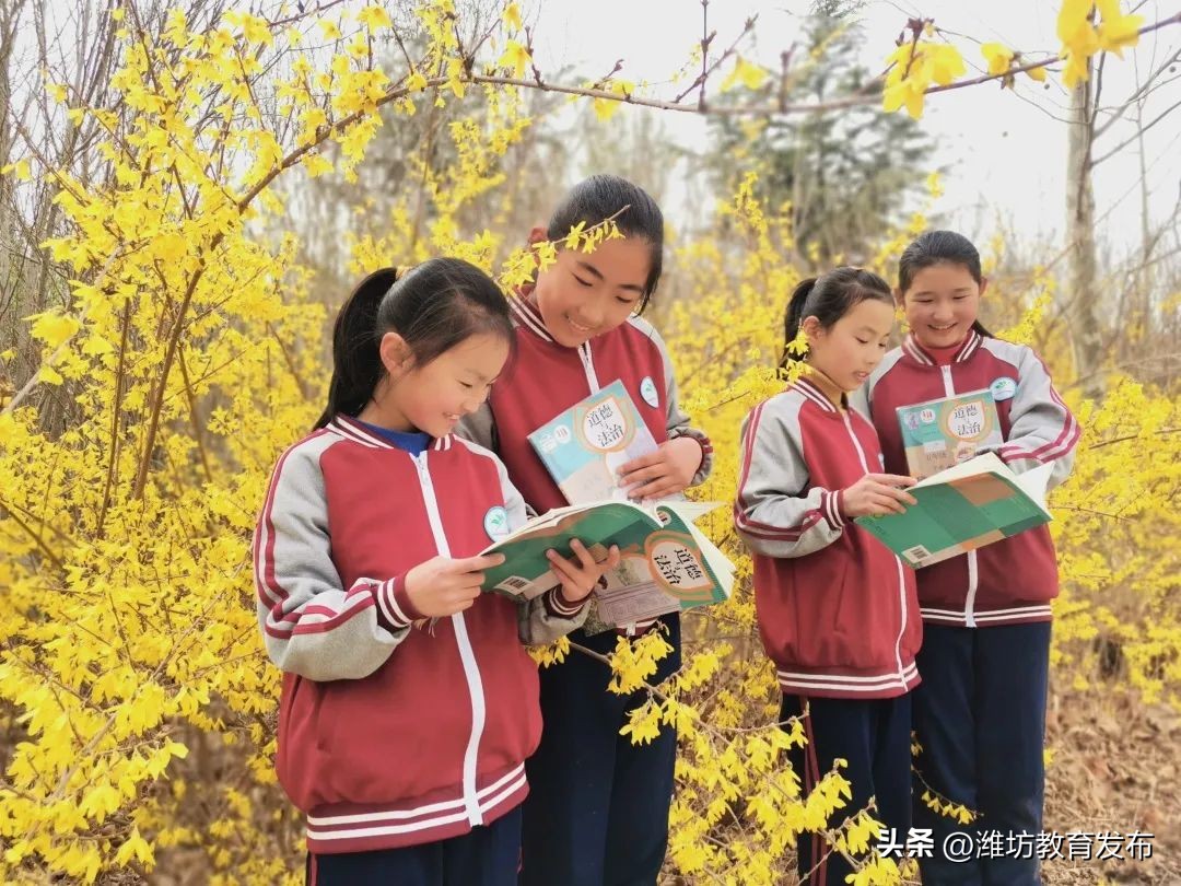 美！潍坊校园春景强势来袭