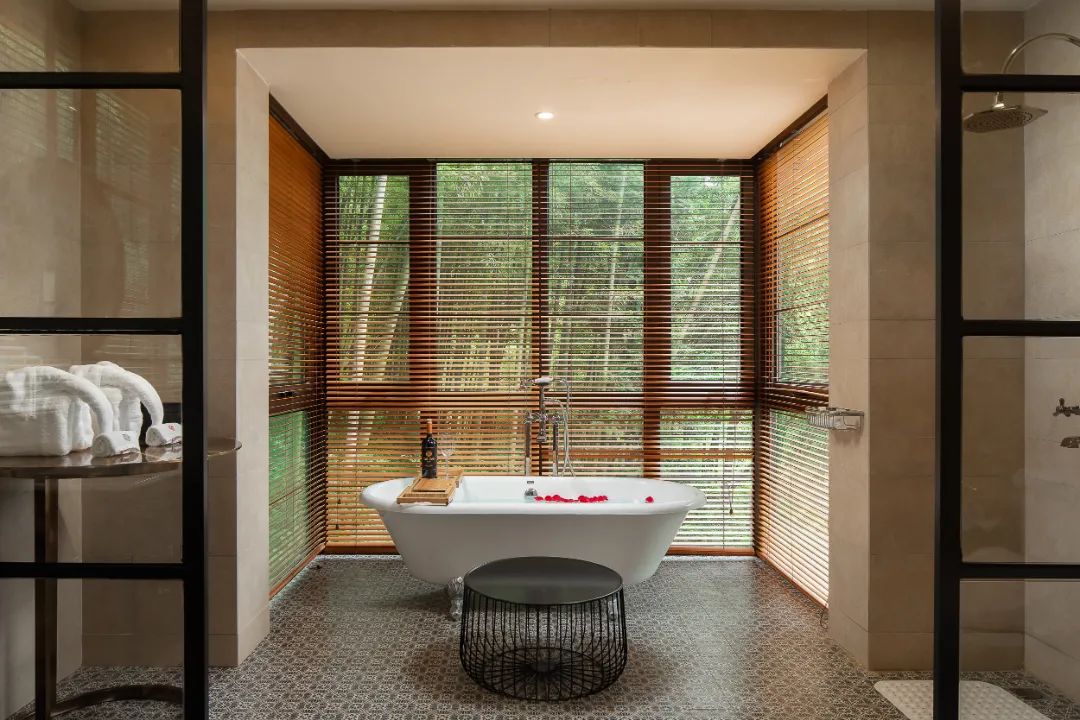 适合冬天去的民宿莫干山民宿,莫干山民宿天花板体验之旅