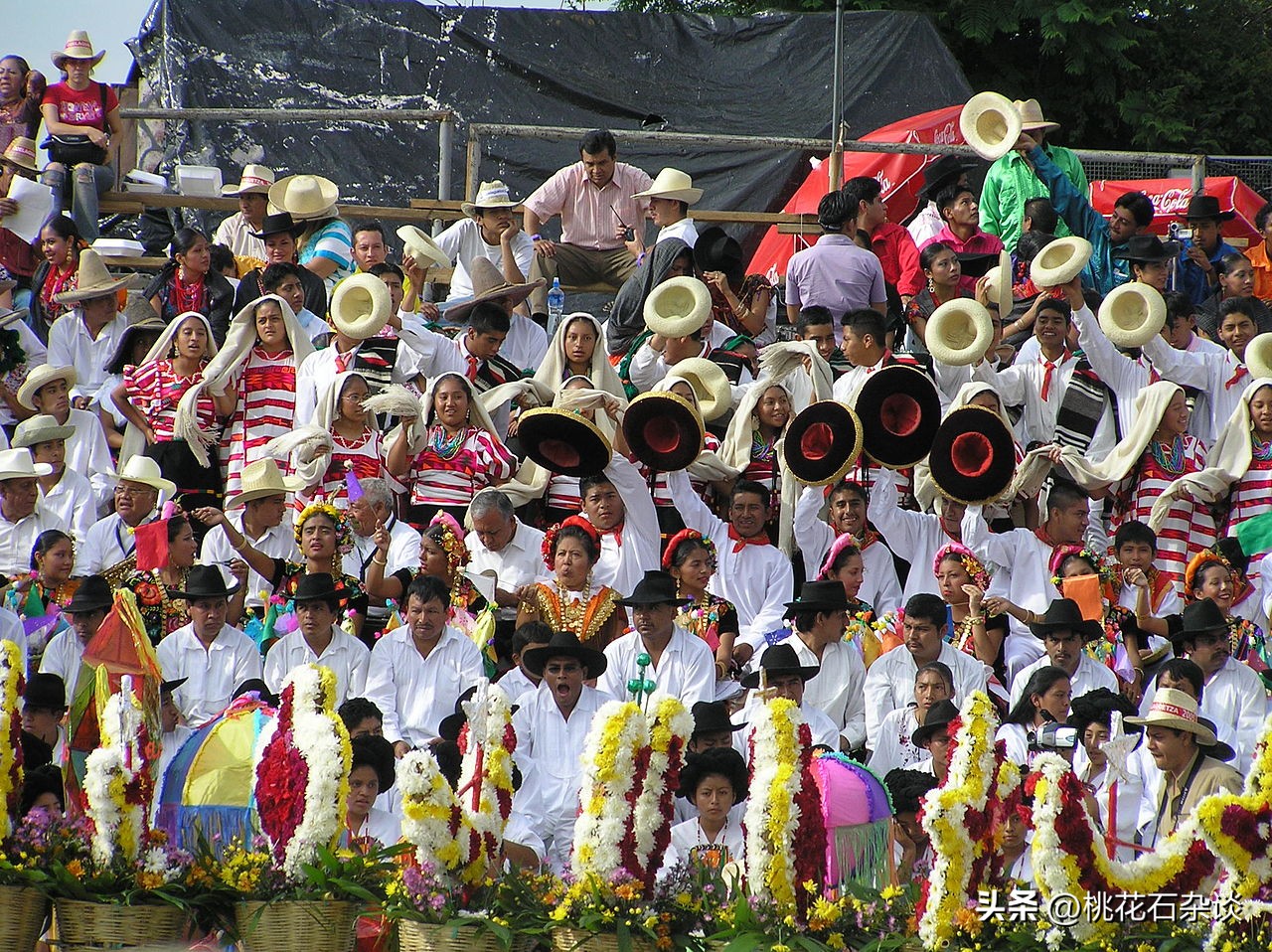 美洲有哪些语言,美洲哪个国家有自己的语言