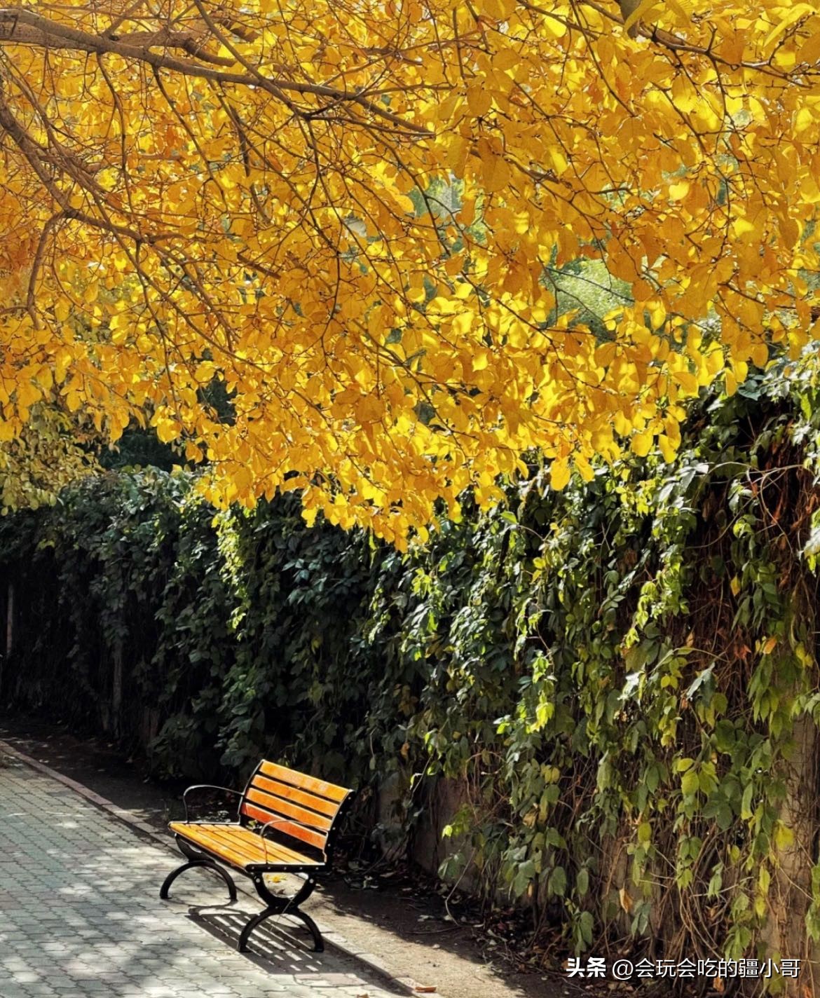 我在他乡挺好的07预告,我在他乡挺好的01花絮