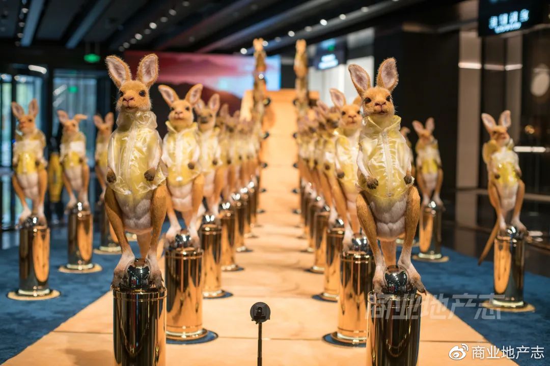 CRR速记|DT51，SKP的mini版？