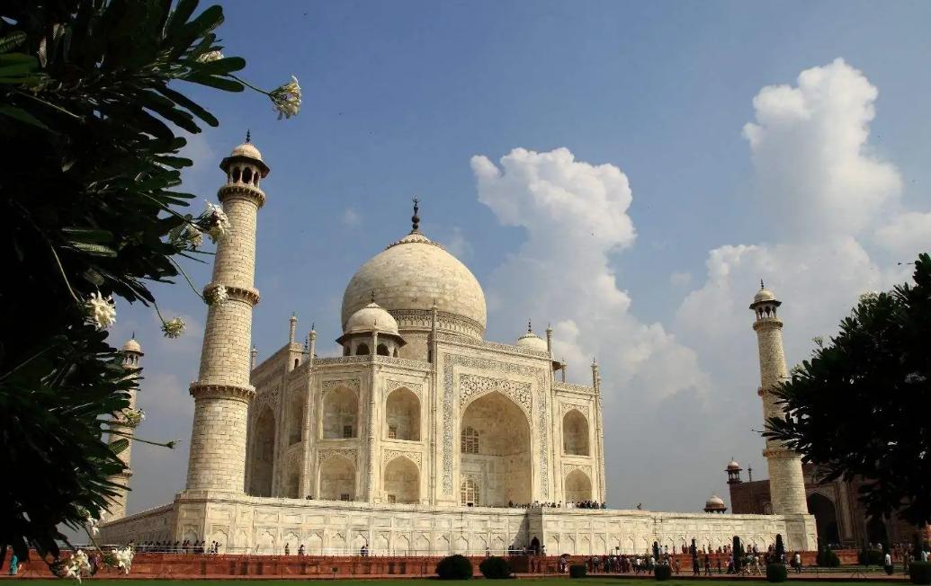 泰姬陵真实事件电影,泰姬陵14个孩子的照片