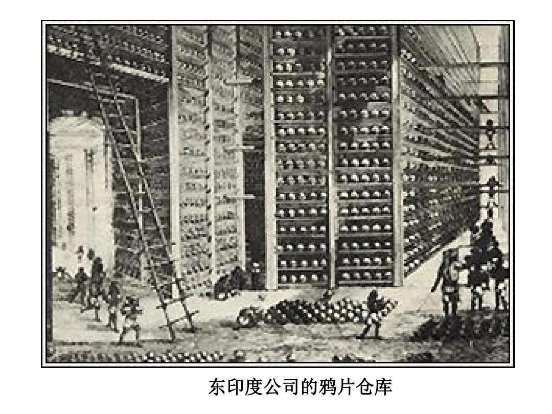 奇文共赏读后的感言,奇文共观赏解释