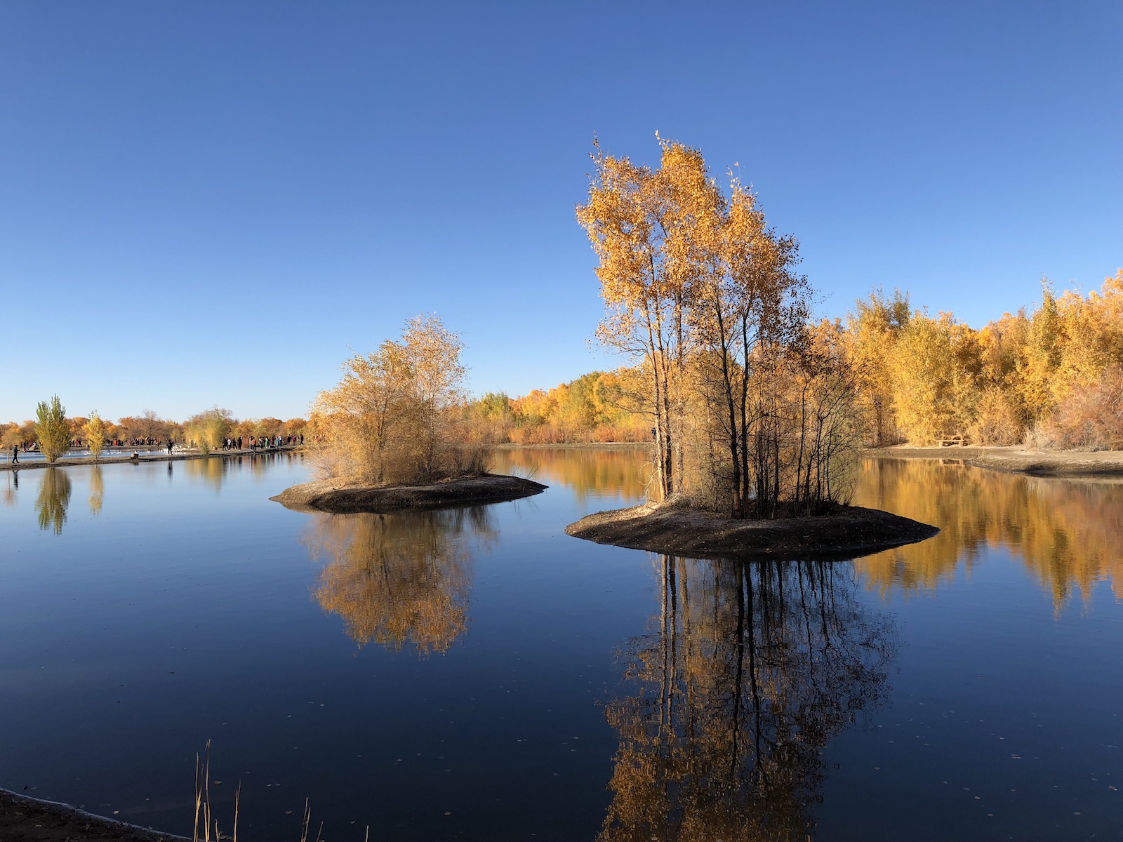 北京自驾额济纳胡杨林十天攻略,从北京到额济纳胡杨林线路