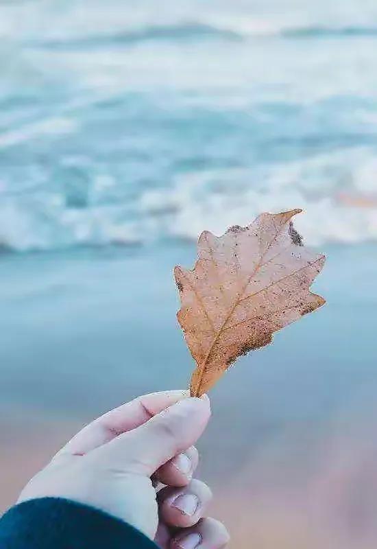 人生需要把握一个平衡点,人生需要平衡幸福需要感受