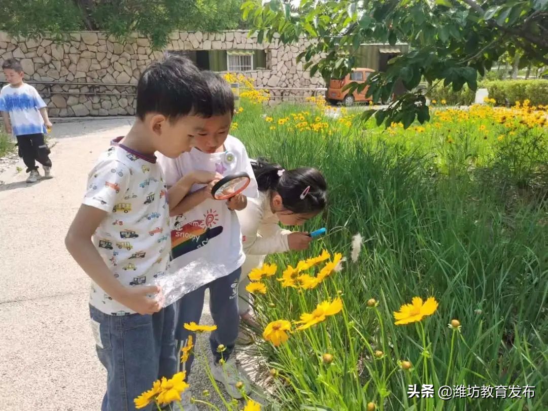 新闻周播报视频,新闻周播报