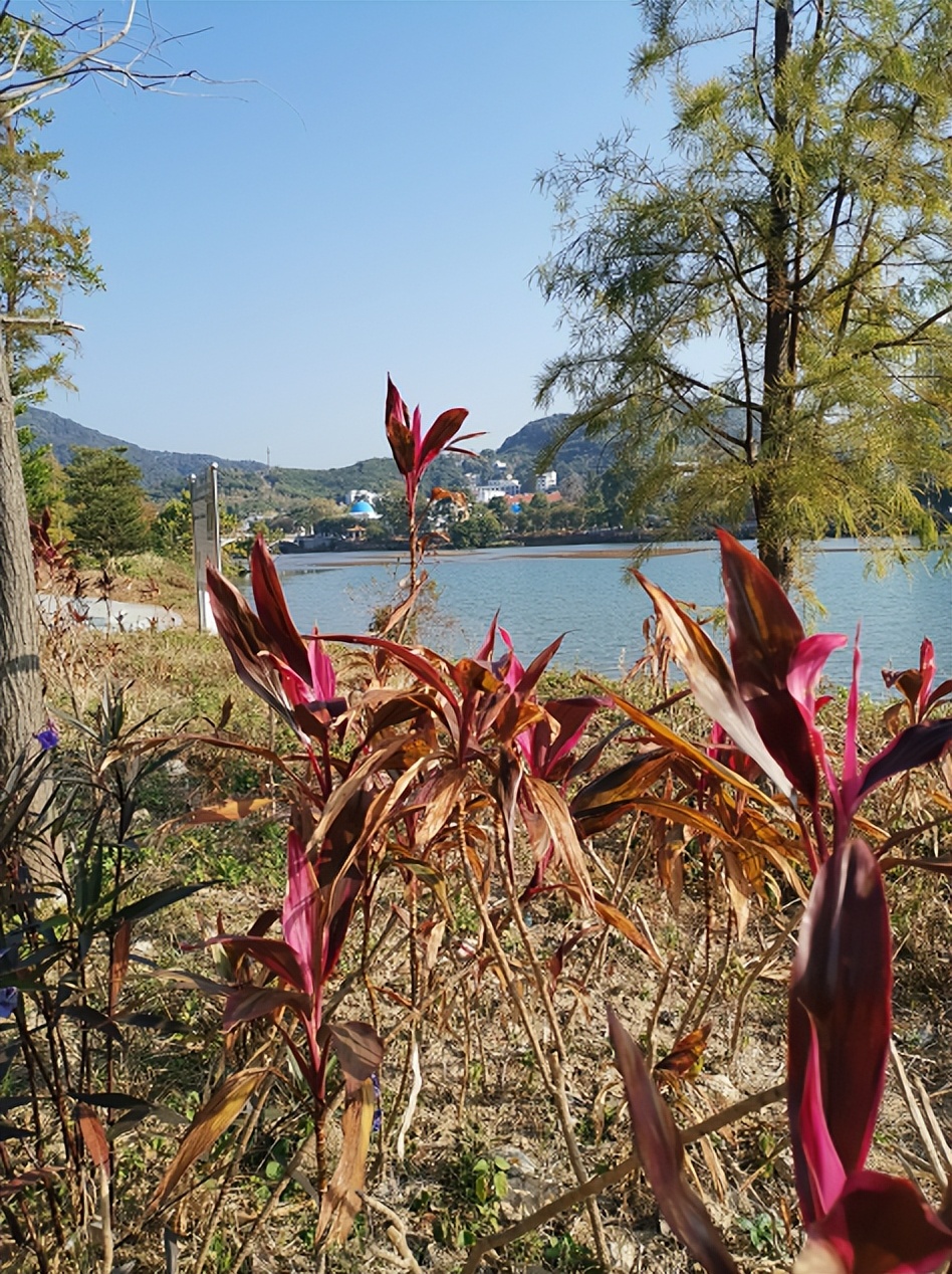 刘柏荣|豪*欲情**把春留住：花困东君酒点唇（原创诗词十首）