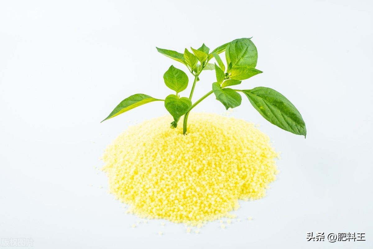 20221228复合肥、磷酸二铵行情