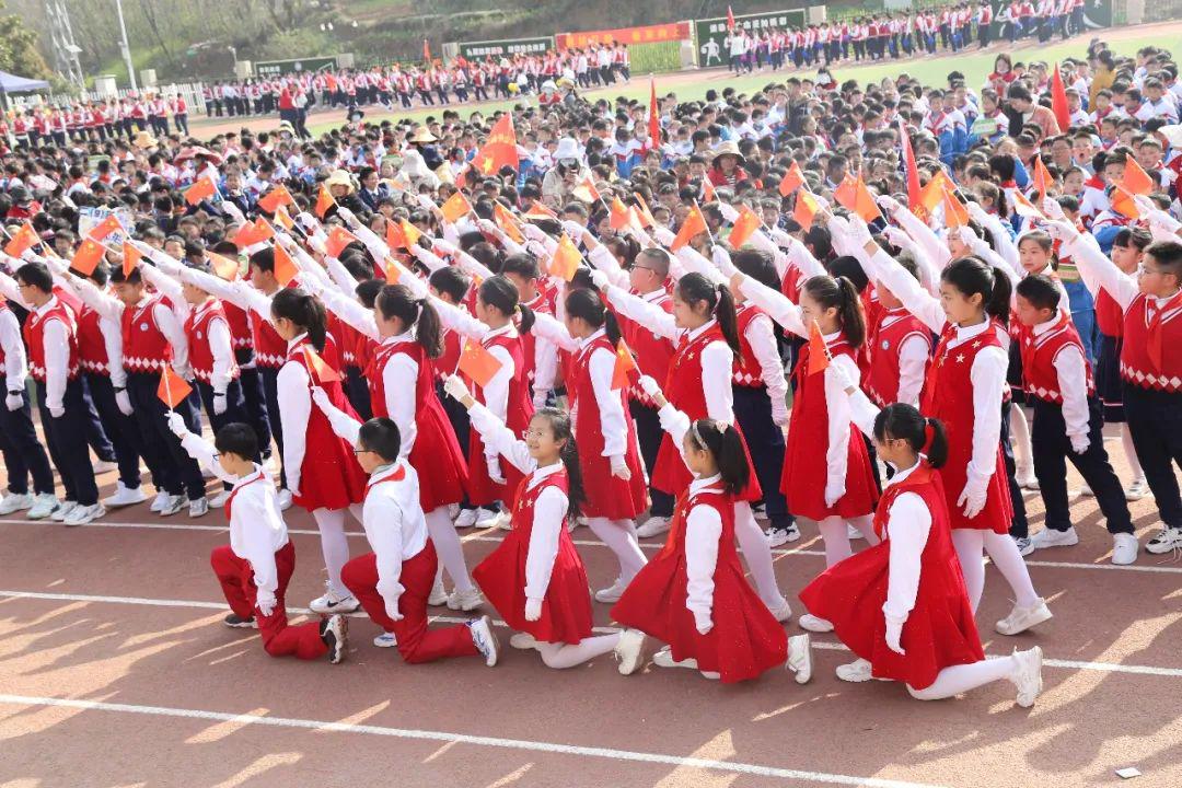 信阳市羊山外国语小学视频,信阳市羊山外国语小学分校