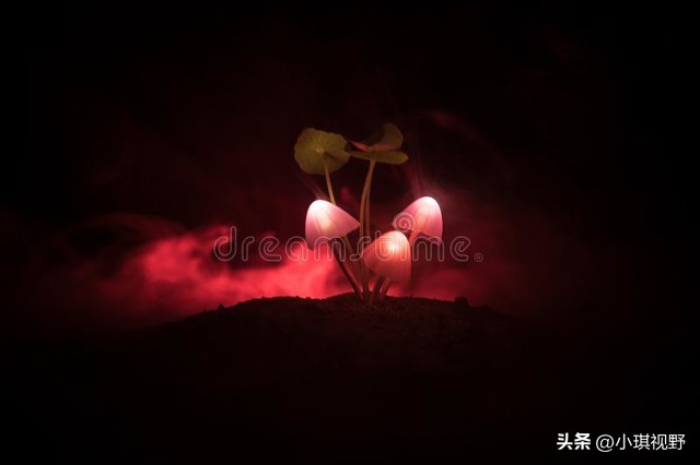 灵异体,灵异感很强的人特征