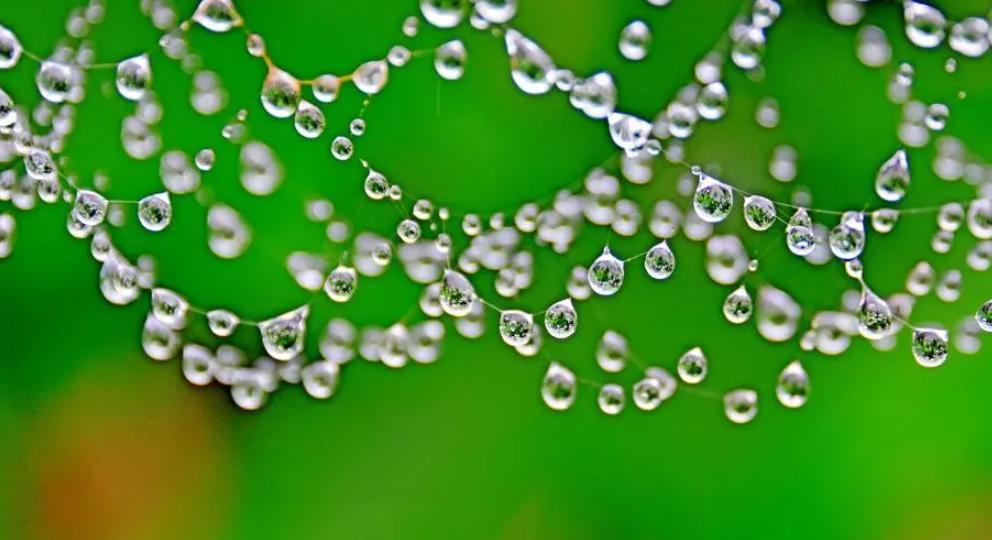 世界旱极是指哪里的,世界四十年不下雨的地方