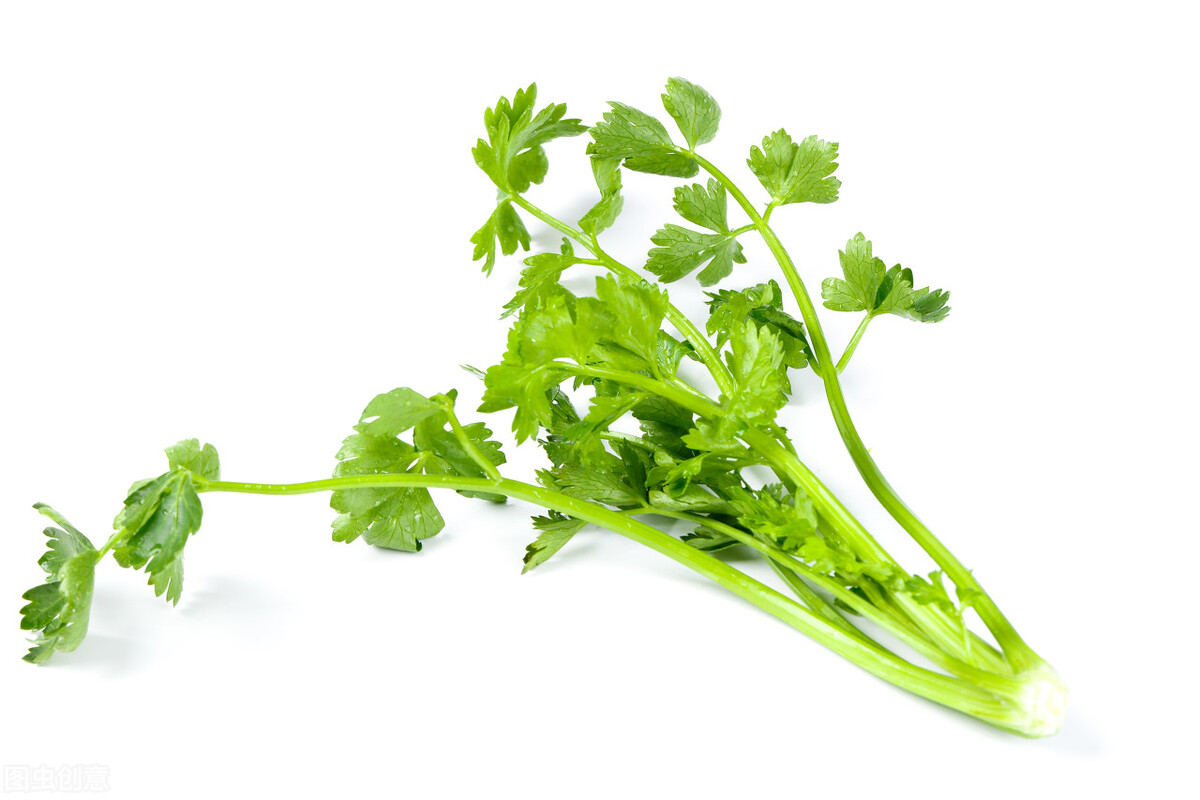 医生说的多吃水果多运动,医生说多吃些营养的东西