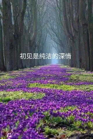 人生最美初见纯音乐,人生最美是初见