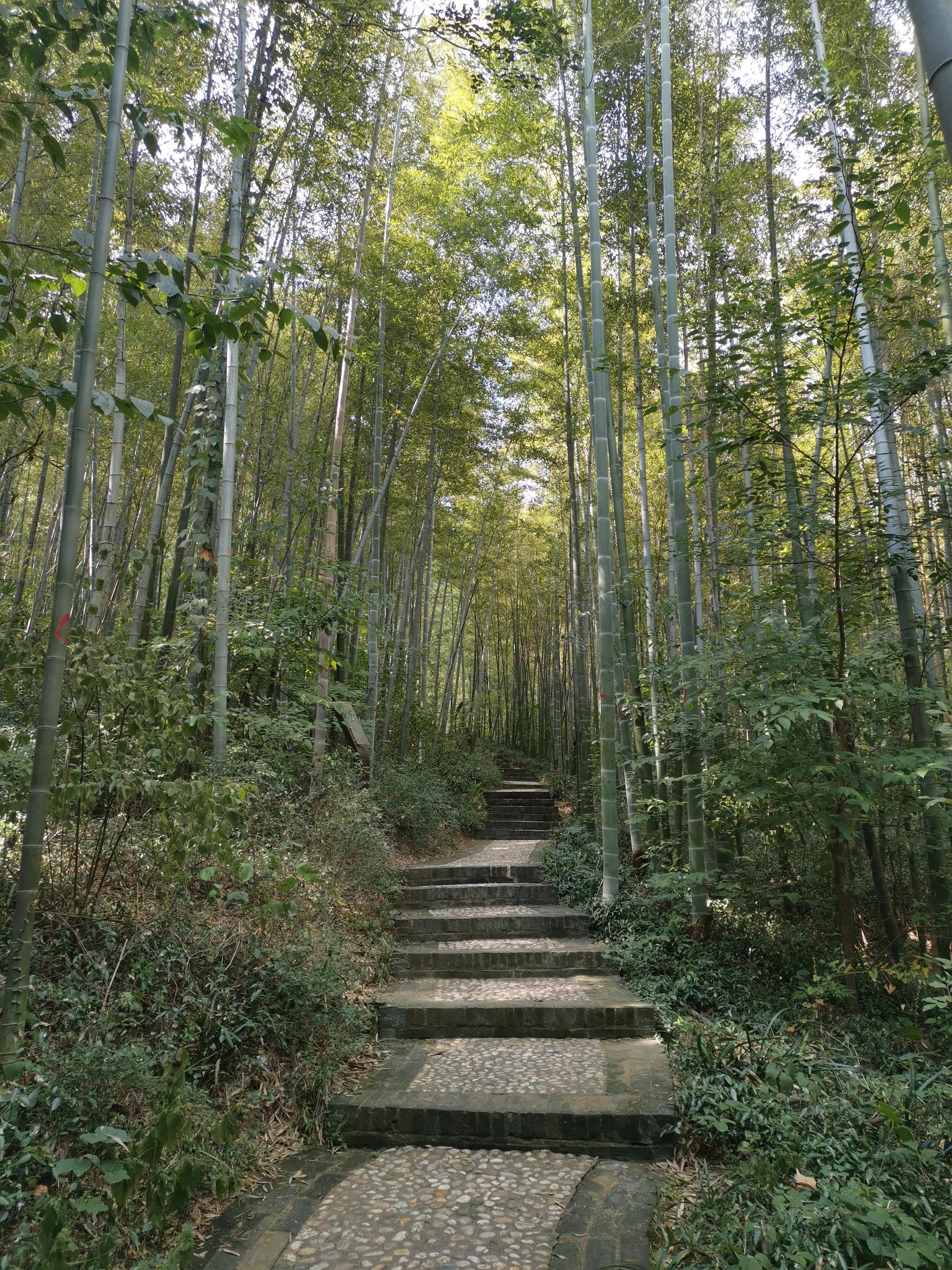 南京出发到镇江一日游跟团多少钱,南京去镇江旅行攻略路线