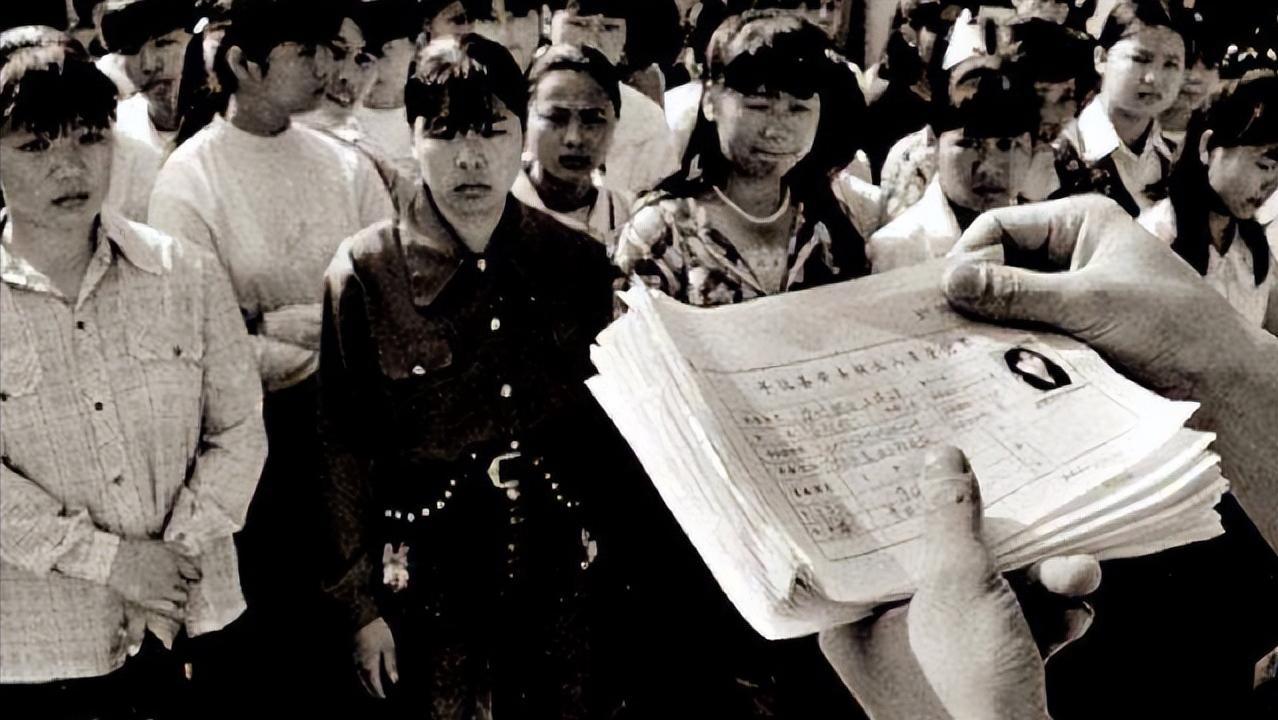 王云娜案件判刑名单,河北王云娜宣判