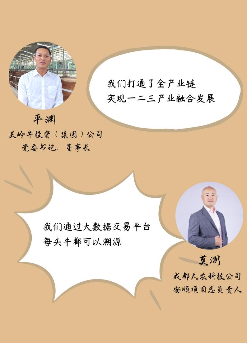 黄牛牛肉贵州,关岭黄牛有机牛肉