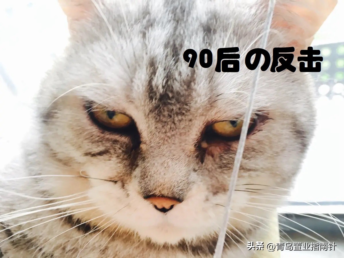 李沧睡城,李沧区值得去吗