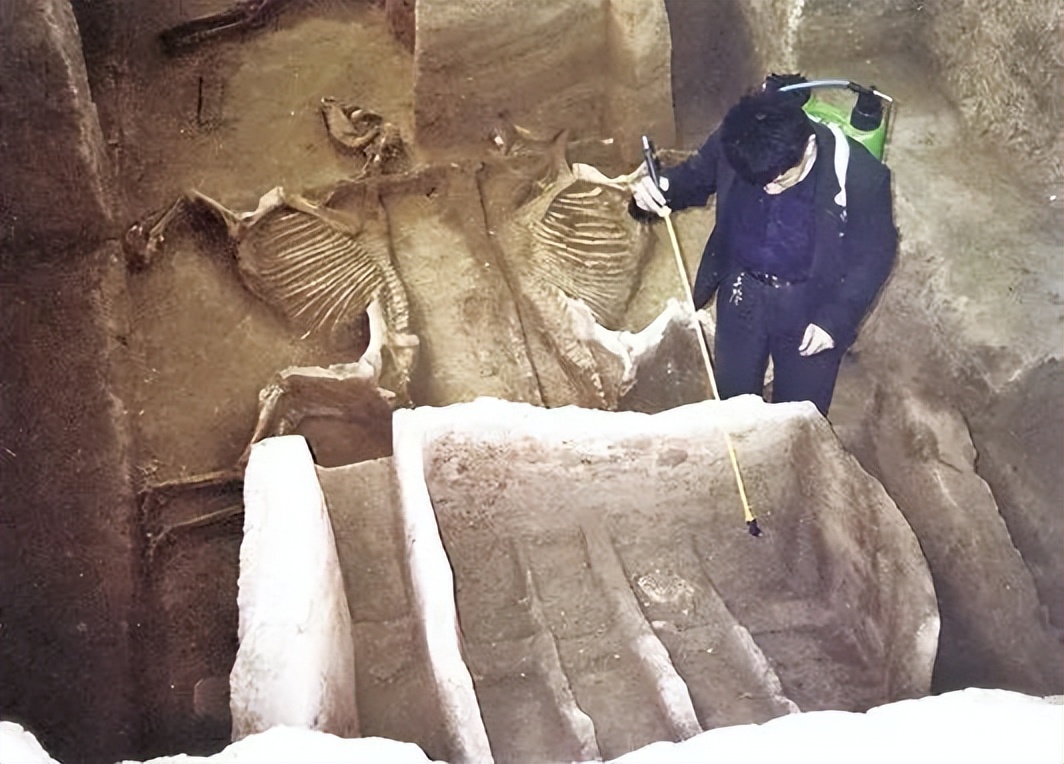 潘付生:“天子驾六”车马坑发现20周年记