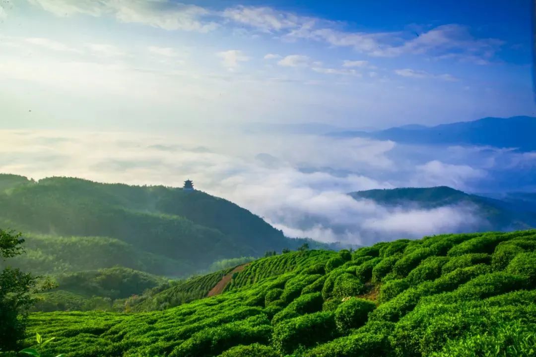 西九华山冬天风景区,西九华山夏季攻略
