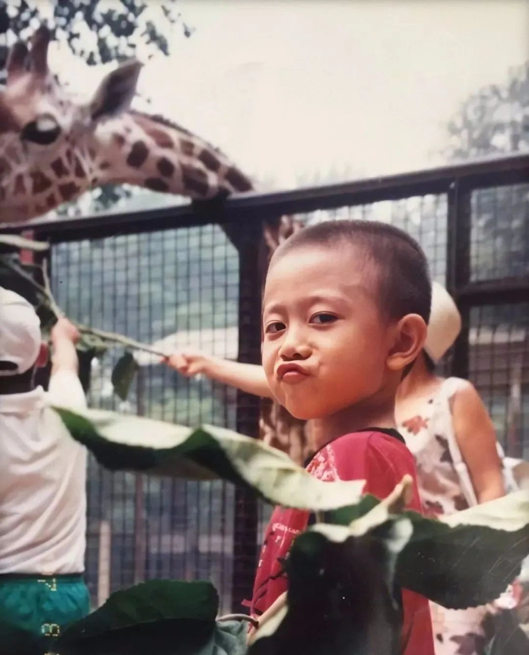 张一山怎样了,张一山情况如何