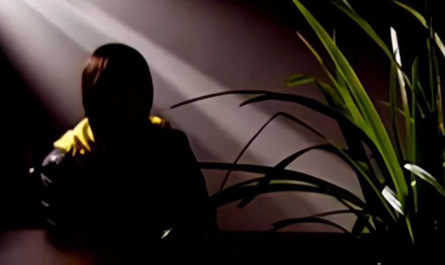 橘园连环性侵案,湖南连环性侵案