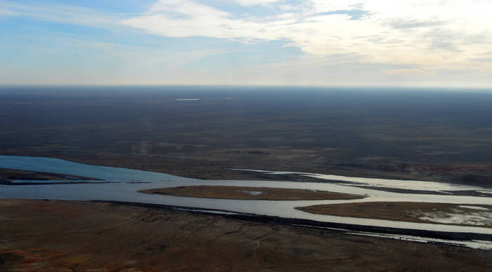 试述中亚种植棉花的有利条件 (19世纪初期哪个国家对棉花有需求)