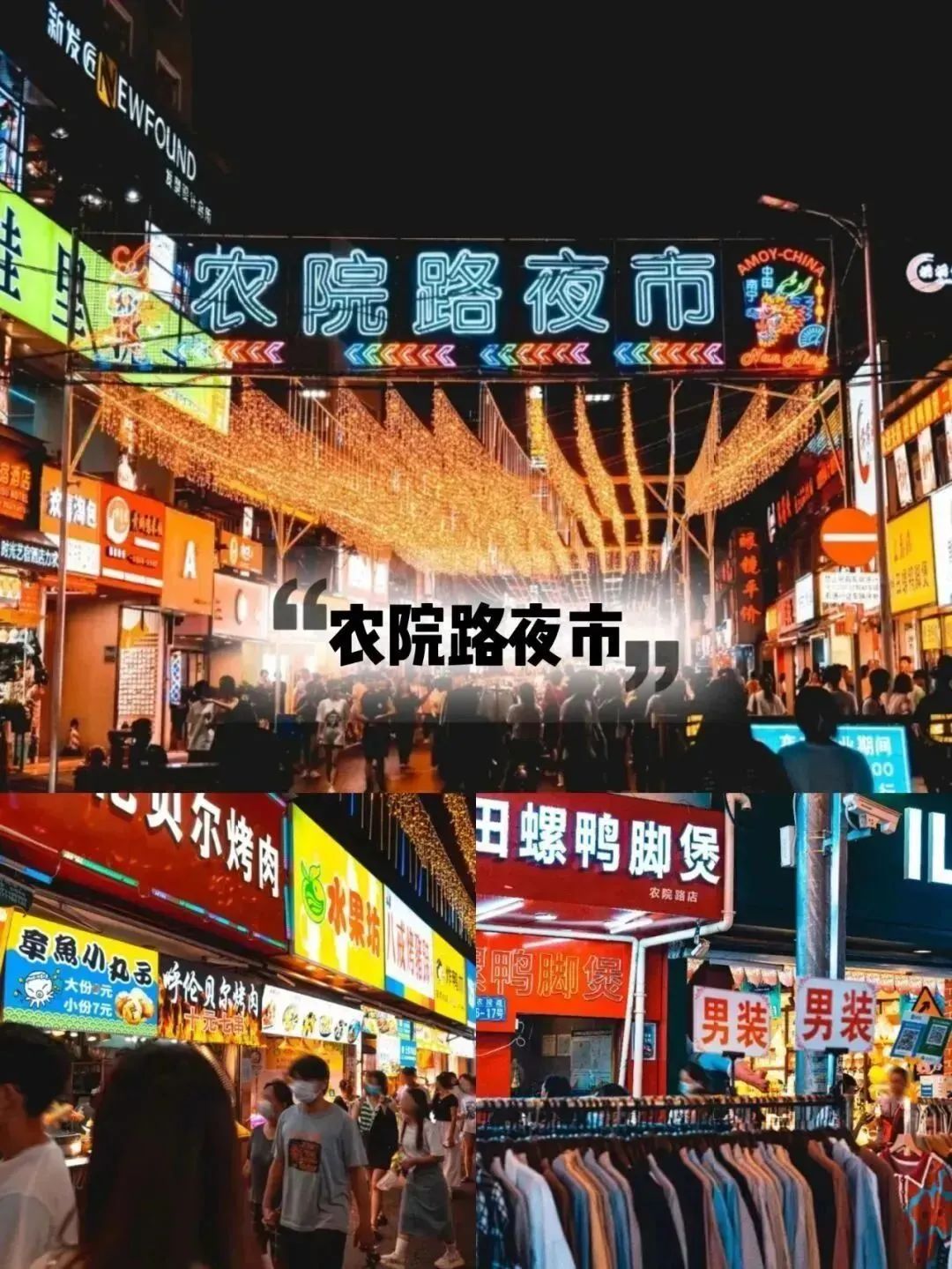 榴莲爱好者去果园,榴莲爱好者来打卡